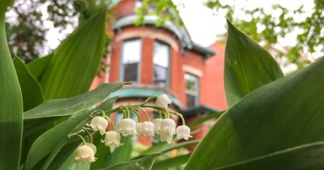 House prices in Dufferin County, Durham, York and Halton lead GTA decline